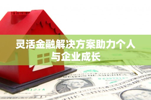 坡头灵活金融解决方案助力个人与企业成长