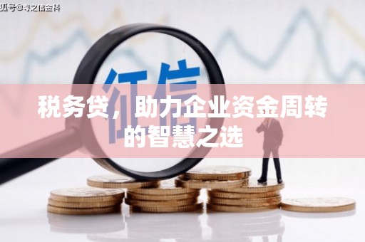 曹妃甸税务贷，助力企业资金周转的智慧之选