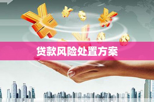 温岭贷款风险处置方案