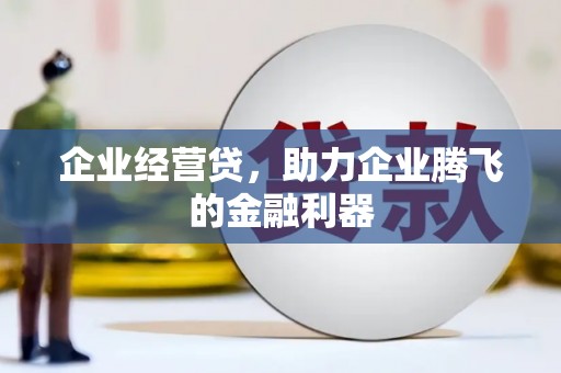 澧县企业经营贷，助力企业腾飞的金融利器