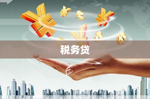 中方税务贷
