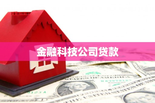 竹崎金融科技公司贷款