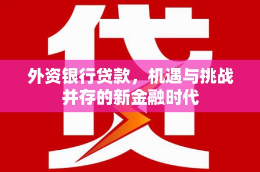 全南外资银行贷款，机遇与挑战并存的新金融时代