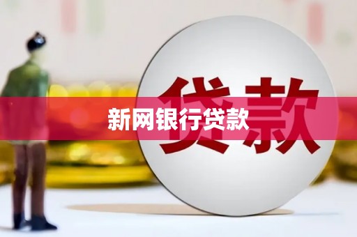 萨嘎新网银行贷款