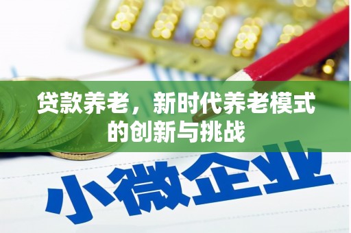 陆川贷款养老，新时代养老模式的创新与挑战