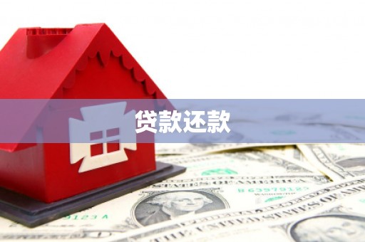 水上贷款还款