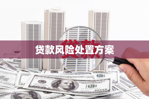 东明贷款风险处置方案