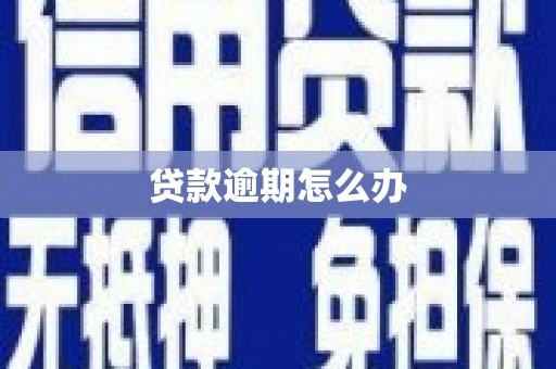 华龙贷款逾期怎么办