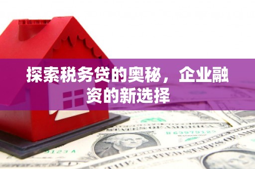 兰州探索税务贷的奥秘，企业融资的新选择