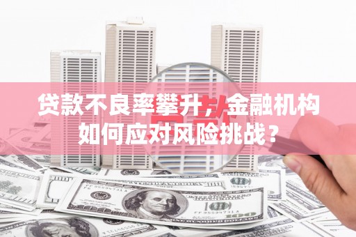 泽普贷款不良率攀升，金融机构如何应对风险挑战？