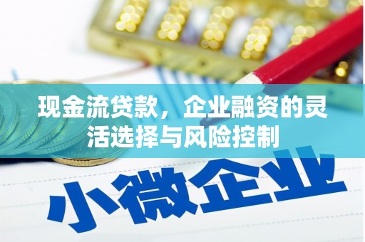 宁波现金流贷款，企业融资的灵活选择与风险控制