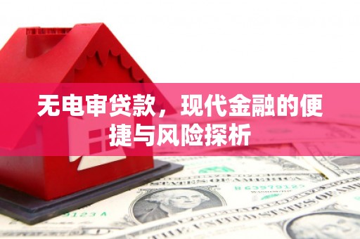 莎车无电审贷款，现代金融的便捷与风险探析