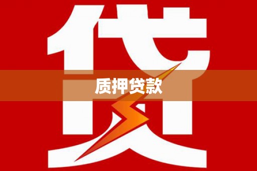 新泰质押贷款