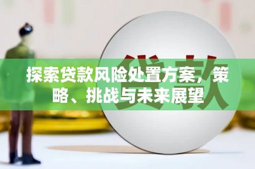 闻喜探索贷款风险处置方案，策略、挑战与未来展望