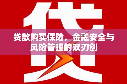 额济纳旗贷款购买保险，金融安全与风险管理的双刃剑
