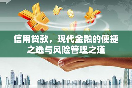 阳新信用贷款，现代金融的便捷之选与风险管理之道