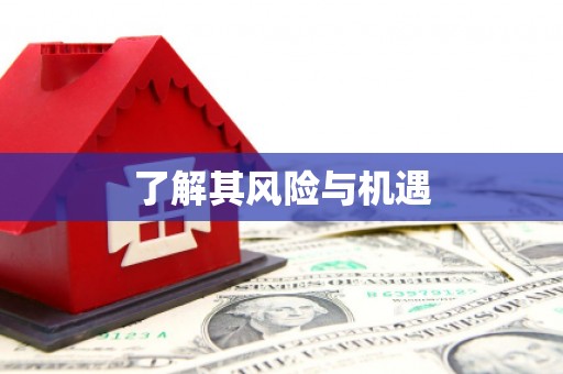 博乐了解其风险与机遇