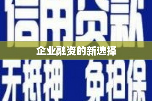 神池企业融资的新选择