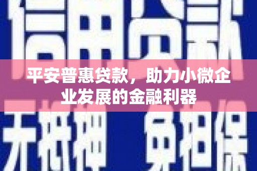 齐齐哈尔平安普惠贷款，助力小微企业发展的金融利器