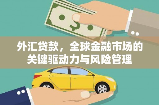 桃江外汇贷款，全球金融市场的关键驱动力与风险管理