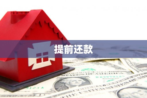 望谟提前还款