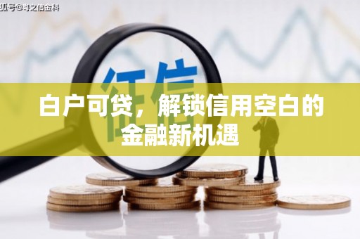淄博白户可贷，解锁信用空白的金融新机遇