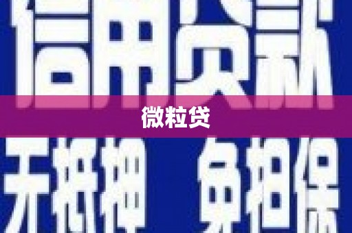 达孜微粒贷