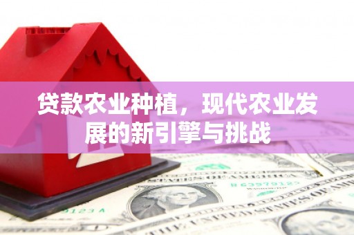 镇赉贷款农业种植，现代农业发展的新引擎与挑战