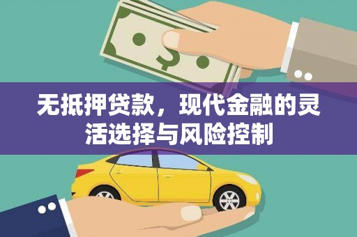 泾河无抵押贷款，现代金融的灵活选择与风险控制