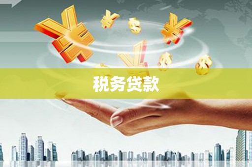 东乌旗税务贷款