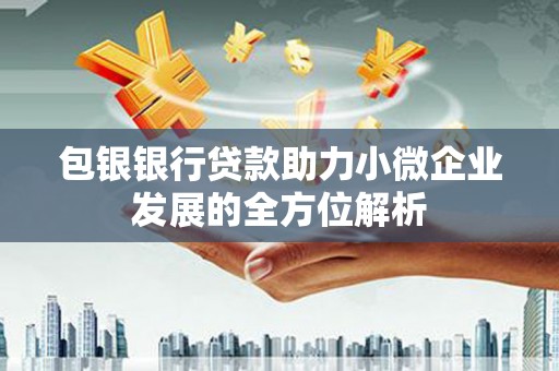 澳门半岛包银银行贷款助力小微企业发展的全方位解析