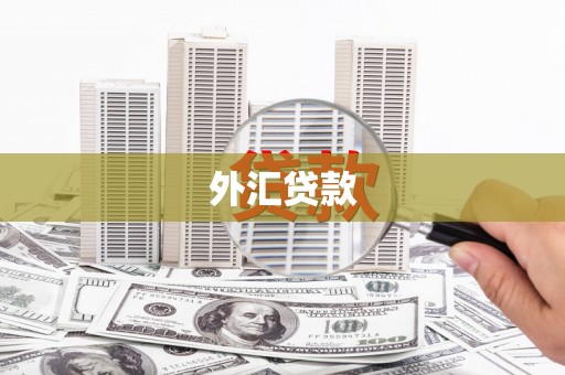郫县外汇贷款