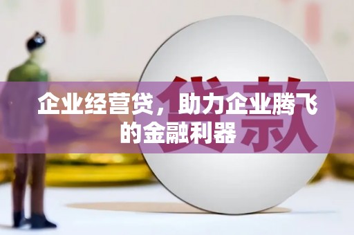 特克斯企业经营贷，助力企业腾飞的金融利器