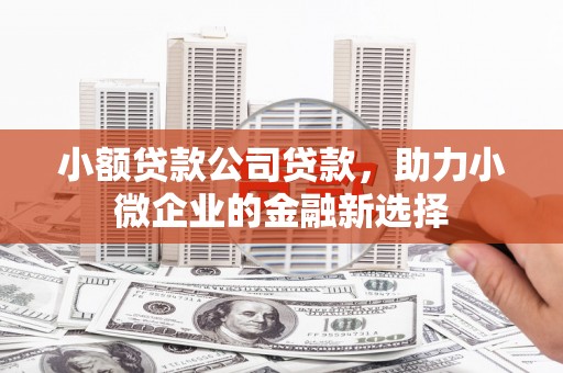 阿尔山小额贷款公司贷款，助力小微企业的金融新选择