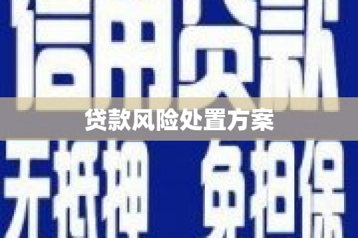 平泉贷款风险处置方案