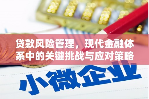 城厢贷款风险管理，现代金融体系中的关键挑战与应对策略