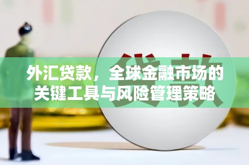 九龙外汇贷款，全球金融市场的关键工具与风险管理策略