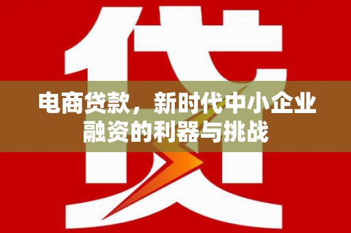 山海关电商贷款，新时代中小企业融资的利器与挑战
