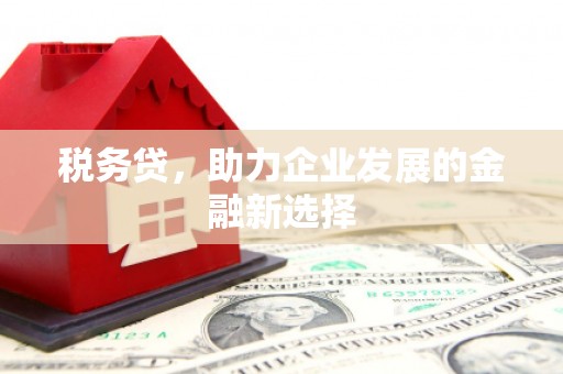 吴起税务贷，助力企业发展的金融新选择