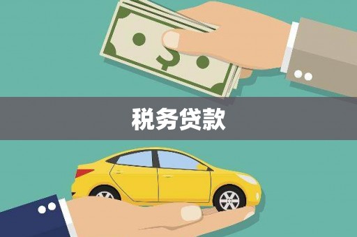 太白税务贷款