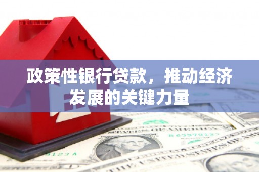 南长政策性银行贷款，推动经济发展的关键力量