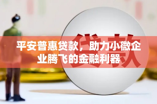 风顺堂区平安普惠贷款，助力小微企业腾飞的金融利器
