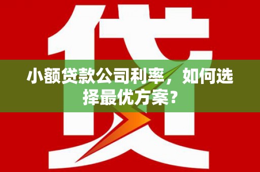 狮潭小额贷款公司利率，如何选择最优方案？