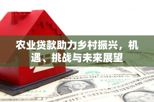 稷山农业贷款助力乡村振兴，机遇、挑战与未来展望