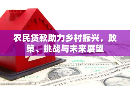 徐闻农民贷款助力乡村振兴，政策、挑战与未来展望