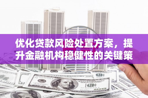 太和优化贷款风险处置方案，提升金融机构稳健性的关键策略