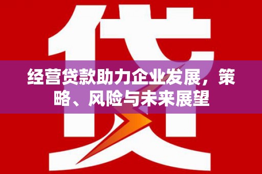 马龙经营贷款助力企业发展，策略、风险与未来展望