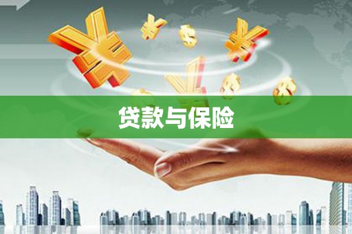 疏勒贷款与保险