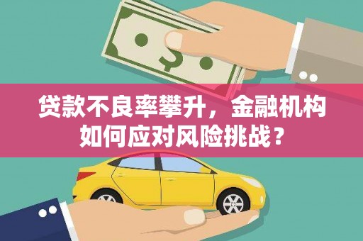 屏山贷款不良率攀升，金融机构如何应对风险挑战？