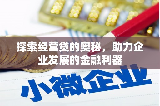 苍梧探索经营贷的奥秘，助力企业发展的金融利器